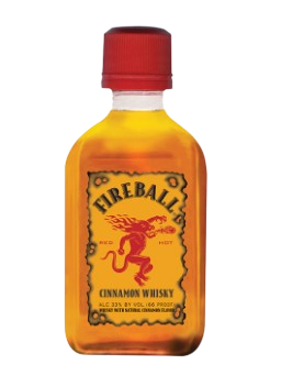 Fireball Party Bucket 20x50ml